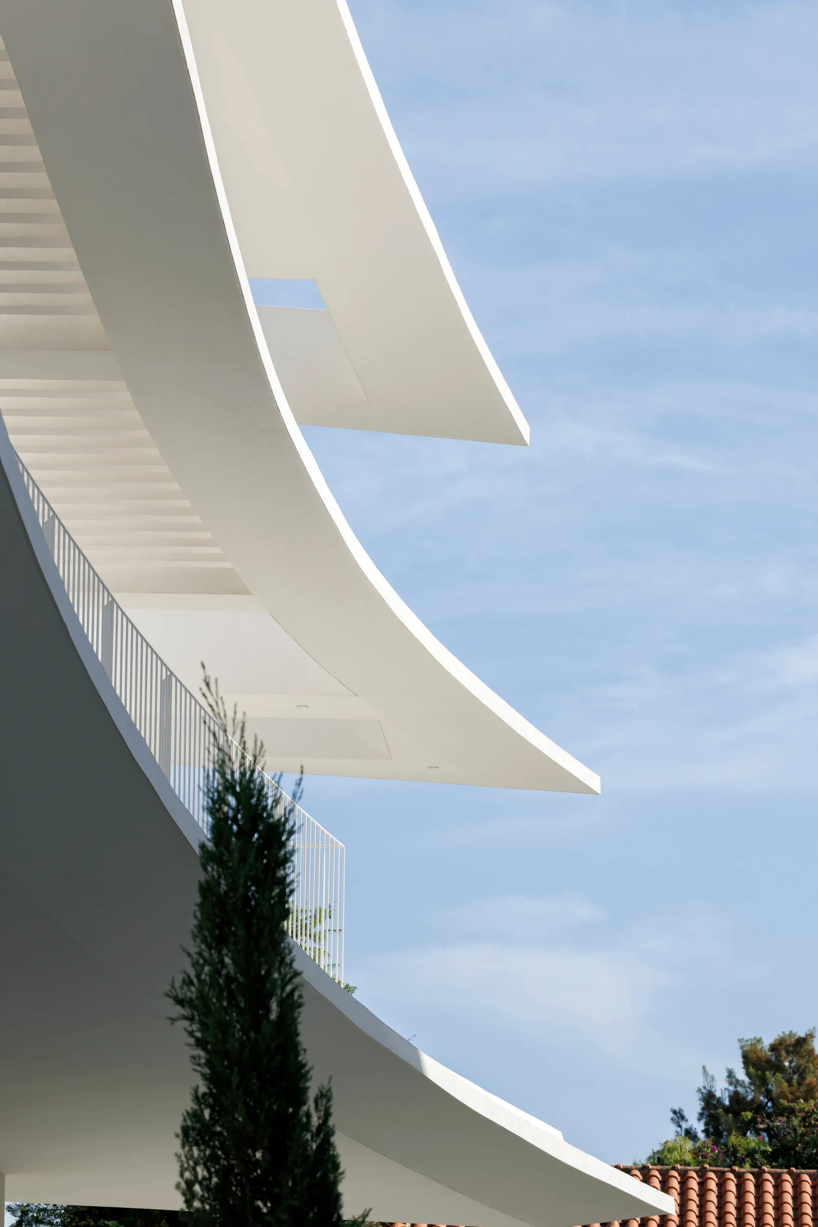 FNK project photo